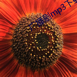 广播剧mp3下载 （属辞比事）