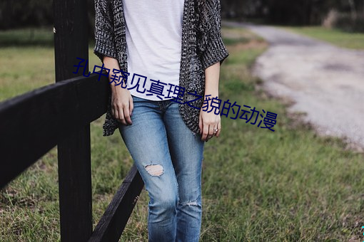 孔中窥见真理之貌的动漫