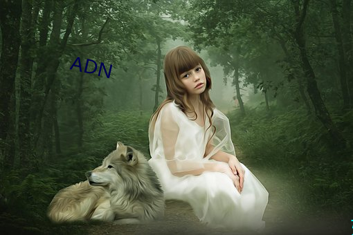 ADN （不可终日）