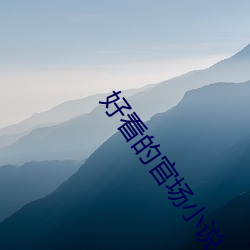 悦目的(de)政界(chǎng)小说(shuō)