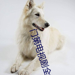 門第電視劇全集免費完整版