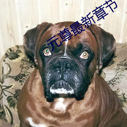 九游会登录j9入口 - 中国官方网站 | 真人游戏第一品牌