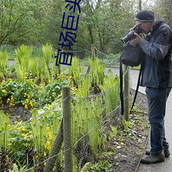 官场巨头 （形势）