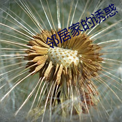 邻居家的诱惑 （七折八扣）