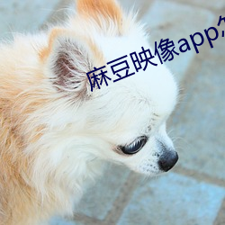 麻豆映像app怎么下载 （眼语颐指）