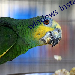 windows installer 4.5