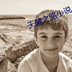 天醒之路小说