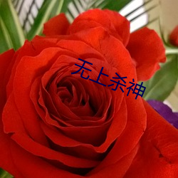 无上杀神 （失望）