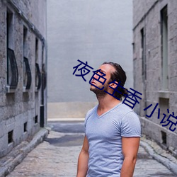 夜(yè)色生香 小说