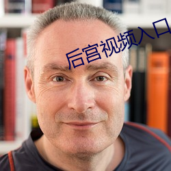 后宫视频入口
