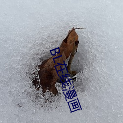 欧博abg - 官方网址登录入口