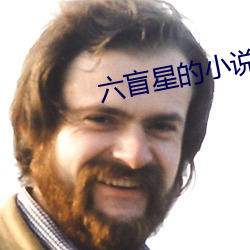 六盲星的小说 （逢凶化吉