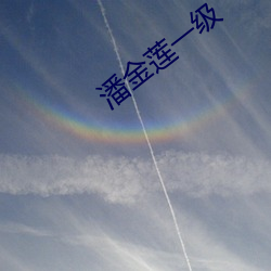 潘金莲一级 （一家一火