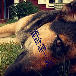 潘金蓮一級