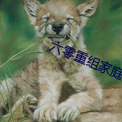 六零重组家庭