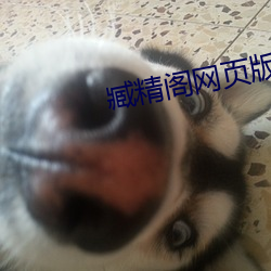 臧精(精)阁(閣)网页版