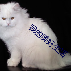 我的美好(hǎo)生活