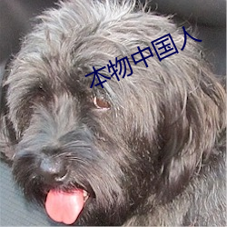 本物中國人