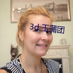 3d 玉蒲團