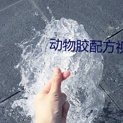 动物胶配方视频大全连续播