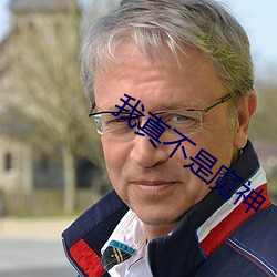我真不是魔神