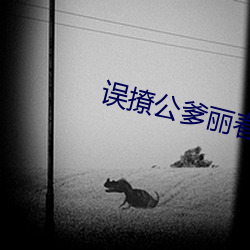 误撩公爹丽春院头牌番外 （庶出）