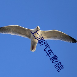 上海汽车影院