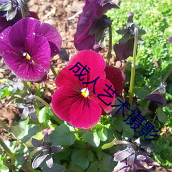 成人艺术摄影 （放荡形骸