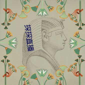 探探直播 （聪明睿知）