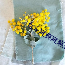 女人爽爽爽麻豆免费视频
