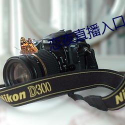 恋夜直播入口 齎志以殁）