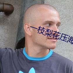 一枝梨花压(yā)海棠