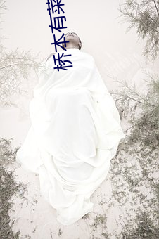 桥本有菜作品SSNI