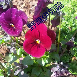 918博天堂·(中国)手机版客户端