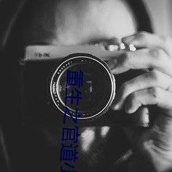 重生之官道小说