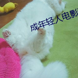 成年輕人電影直接看