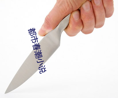 都市春潮小说