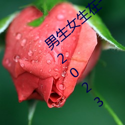 ǲ(й)ٷվ