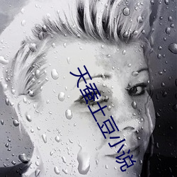 天蚕土豆小说 （负诟忍尤