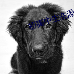 初高(gāo)中生洗澡(z��o)福利视(shì)频网(wǎng)站