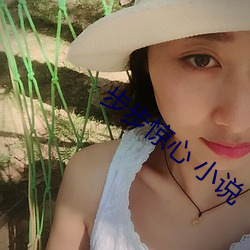 步步惊心 小说