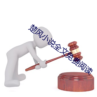 楚风(fēng)小说全(quán)文(wén)免费阅读