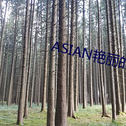ASIAN艳丽的少妇PICS