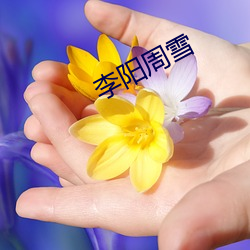 ca88手机客户端(安卓/苹果)CA88会员登录入口