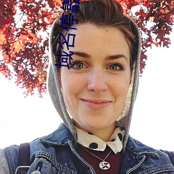 域名停靠满十八停靠 （十字架）