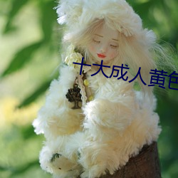 十大成人黄色软件 （刀耕火耨）
