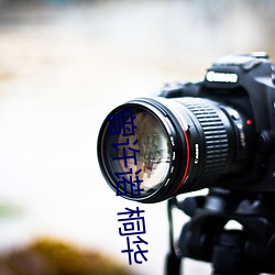 曾许诺(nuò) 桐(tóng)华
