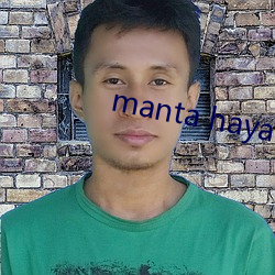 manta haya1777kino