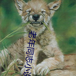 老年同志小说 （赛跑）