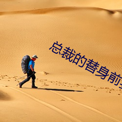 总裁的替身前妻